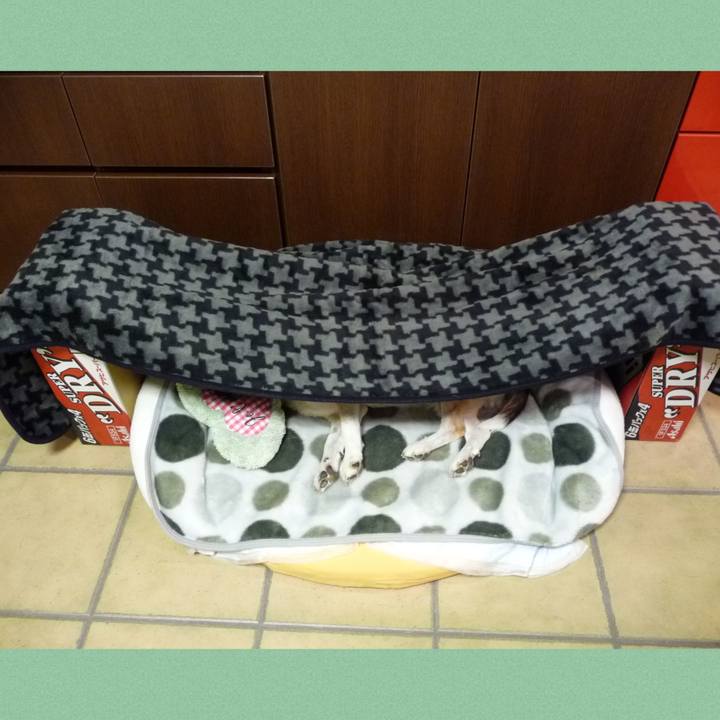 3ba67811 2837 4624 a164 aea2628b86af 1707355892813