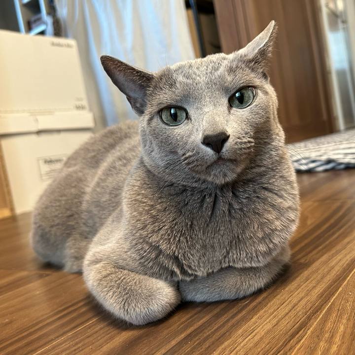 3ba6a6f6 7af6 4c72 a57c 69da4920d3f4 1737931003499