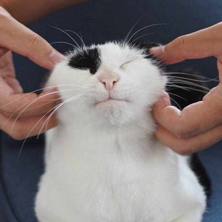 3ba6b19c 8acf 4cda 8b0d 8d5fde99a574 1542850356075