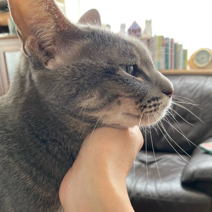 3ba707da 6ab4 49dc 9149 4474ba3e4d00 1701160920128