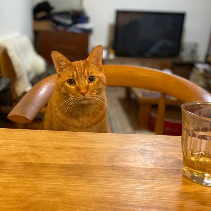 3ba70c52 d08b 4615 a74e 907e7f46e7fb 1705837954922