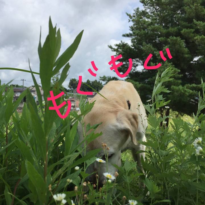 3ba75f9f 502e 4c53 bcb1 165d59d4462d 1548933073032