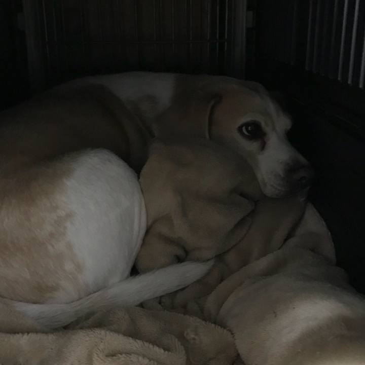 3ba78ac3 63cd 40e9 a686 366e28e73188 1535076207638