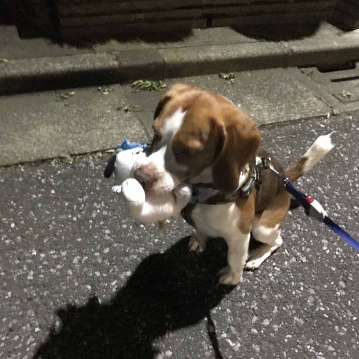 3ba7c779 196a 4b9c a0fe 55f01ee94364 1560783177432