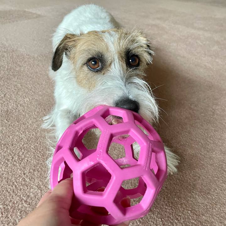 3ba842d0 366b 48b7 ad2c 2b71c7b6e40a 1654587022552