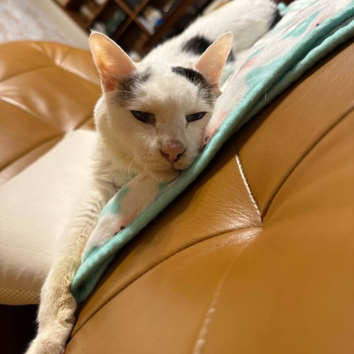 3ba84554 68b0 4a3b bb83 0b38eb1e90d2 1766922139786