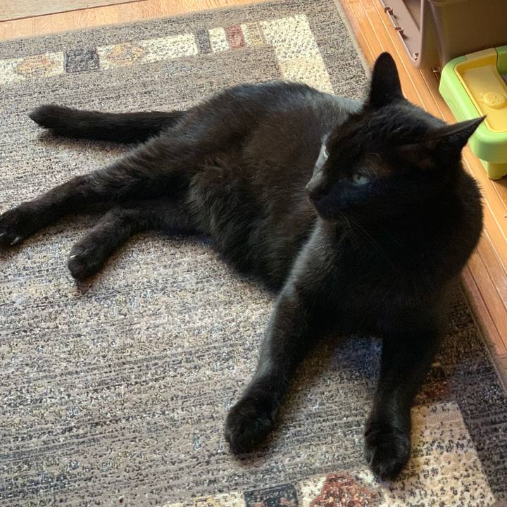 3ba85162 d3df 4717 8be6 1d86f897c00f 1602552525462