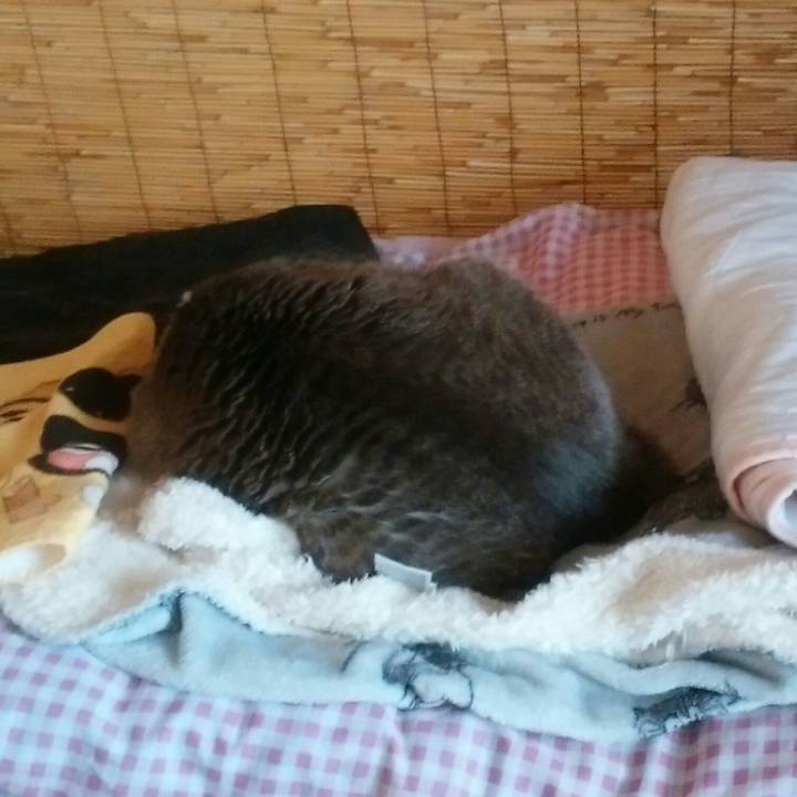 3ba88f37 6443 44b9 92fa c574e594603c 1522992301335