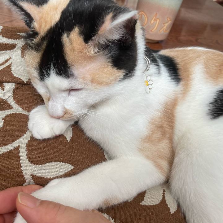 3ba8b853 9bbc 4d2a b602 a4b320d2cdec 1671149662073