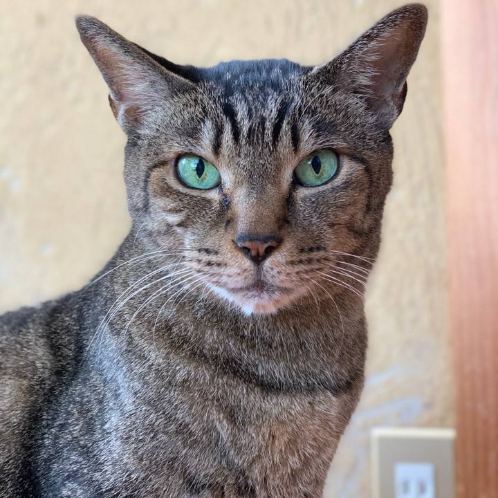 3ba8c5a2 fe0a 43d5 90f8 c1ad2362cc72 1573434289939