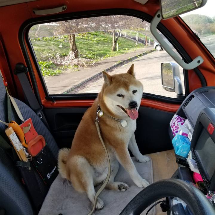 3ba8c9f1 e1bd 4e29 acaa 6717136ee063 1650872845992