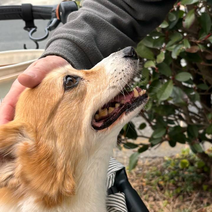 3ba8ccf5 8b2f 4ee8 b72c 027051ee602e 1768787113039