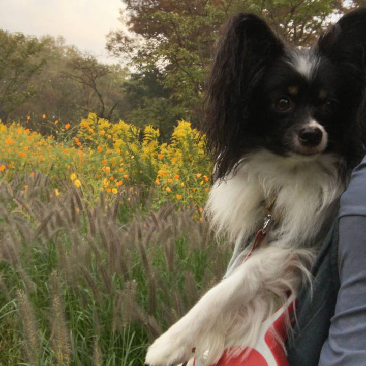 3ba8f3c9 c360 4697 ae84 b022b23f16b9 1539641175816