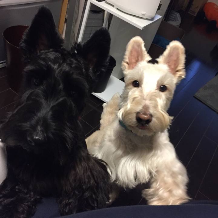 3ba910cb 2a1c 4832 9e4f 6ab7be711279 1510979183518