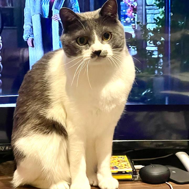 3ba93804 7fc8 4147 81d5 36f9a43314bf 1647166812531