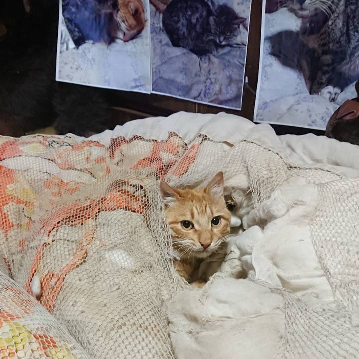 3ba93c9f e0fb 4658 a32b 79c97cbb731a 1652820393128