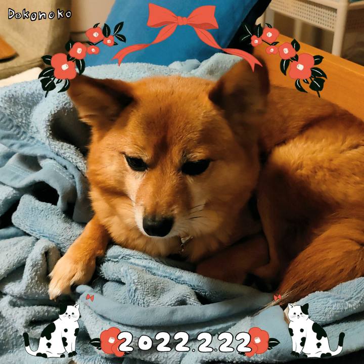 3ba94176 e195 4942 8a64 e1f9f2dad441 1645537375570