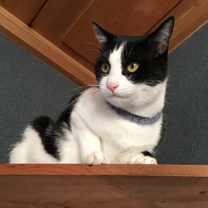 3ba9a853 6610 40c8 8cec 330887f4d5cc 1669978881280