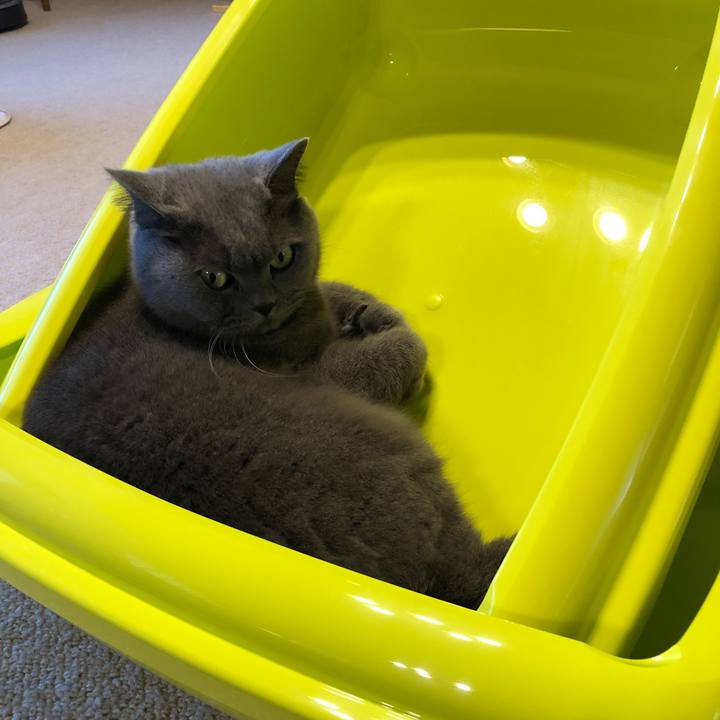 3ba9cbbe 77b1 4d37 8467 709df8c6df54 1573808735294