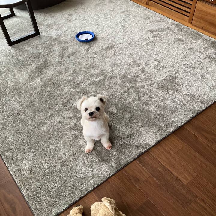 3baa034b 04aa 4bf6 abab 10b5e9ff4514 1600858079219