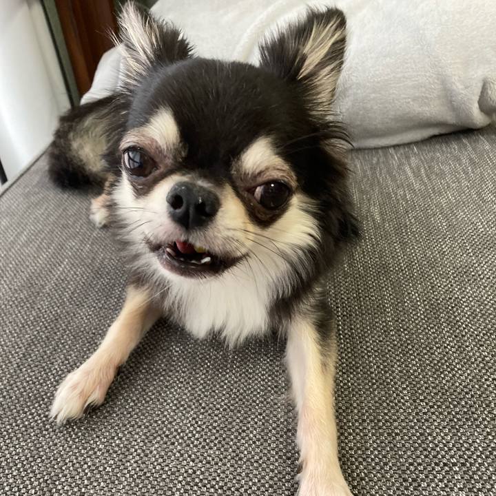 3baa6295 2fd2 4173 b67b 0f8d01bbd70f 1628739739119