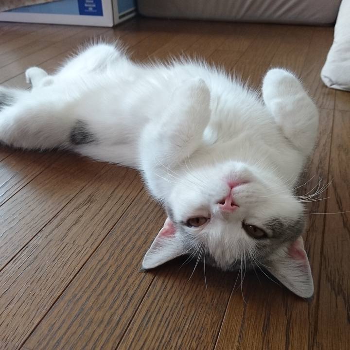 3baa83d9 6255 4386 841f b9b836ba7998 1628866737583