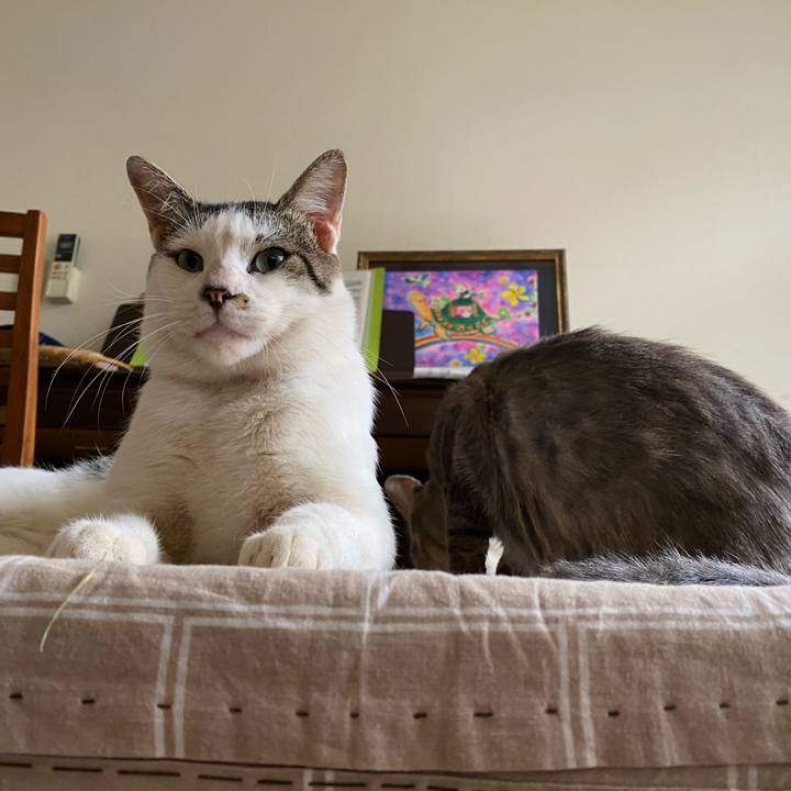 3baae2c9 6e7e 4c1b 90fa 6a55f875ee15 1600156233980