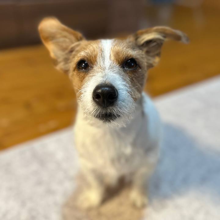 3baaff8c 8775 4827 afba a03b8eb540d5 1761354685864