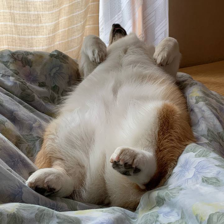 3bab231b 700b 43ba 89f7 d75e581bfe47 1653289376181