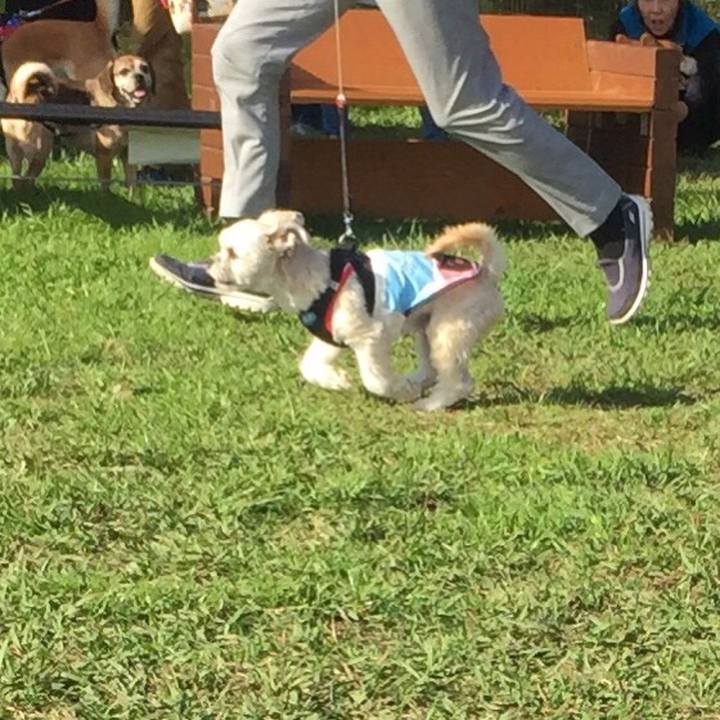 3bab2f19 0012 4e84 bef4 d404f305ae5e 1542450141158