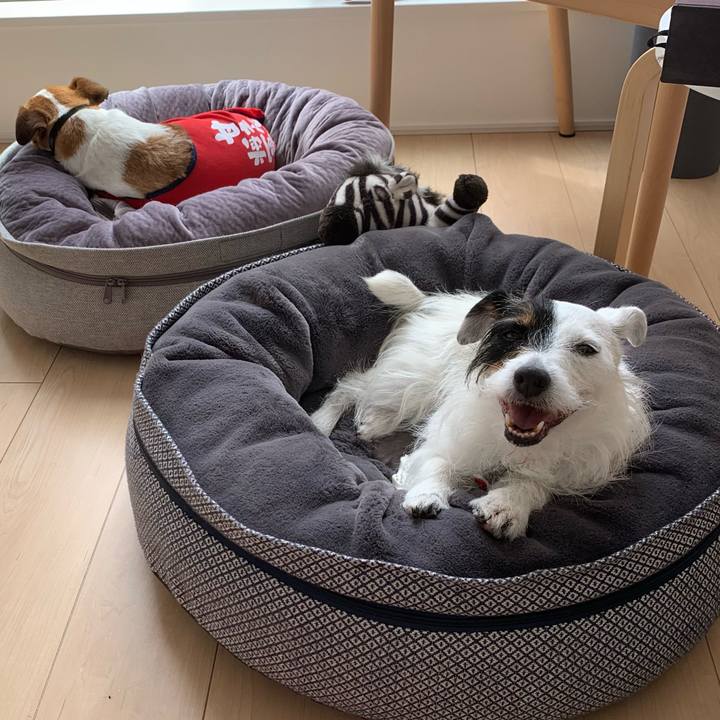 3bab316c c418 45d7 a456 edcbce921e6a 1622004433575