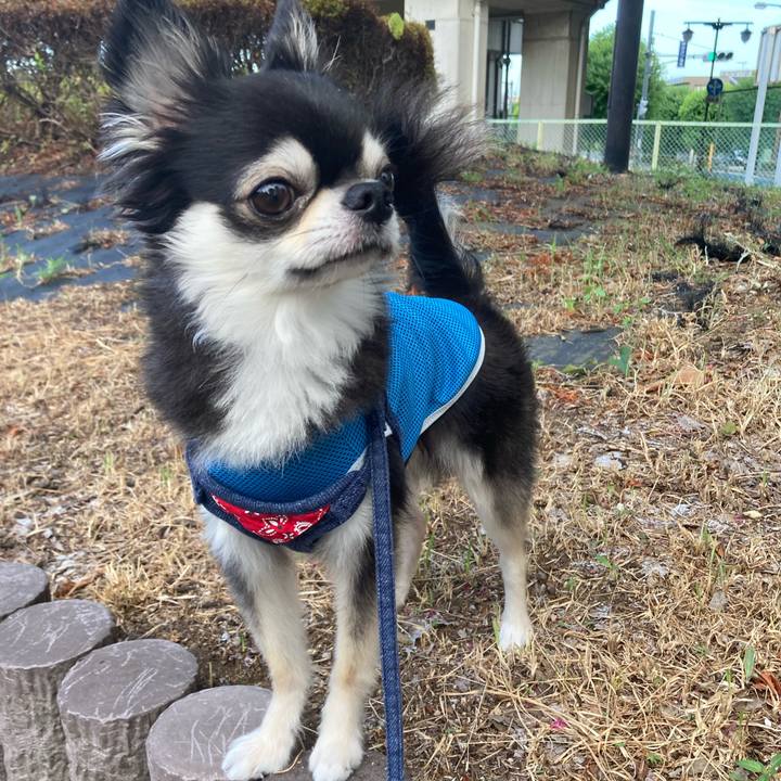 3bab4878 a1e6 47a9 ac70 32c3fce41ee0 1691854390150