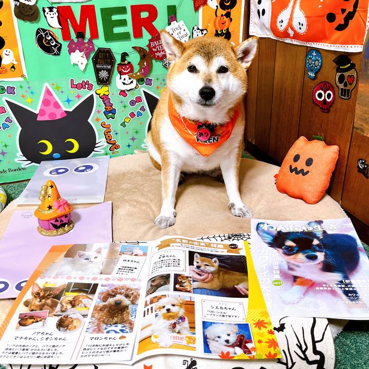 3bab9542 1081 404b bbd3 113393e0720d 1665111885518