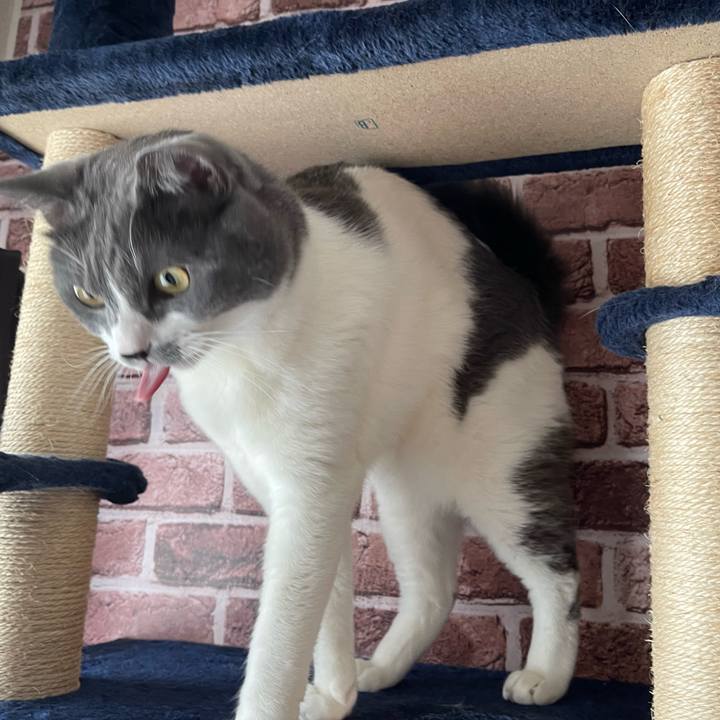 3babb2ff e5ce 41df be2c 5c0c8ffa10f2 1661497297642