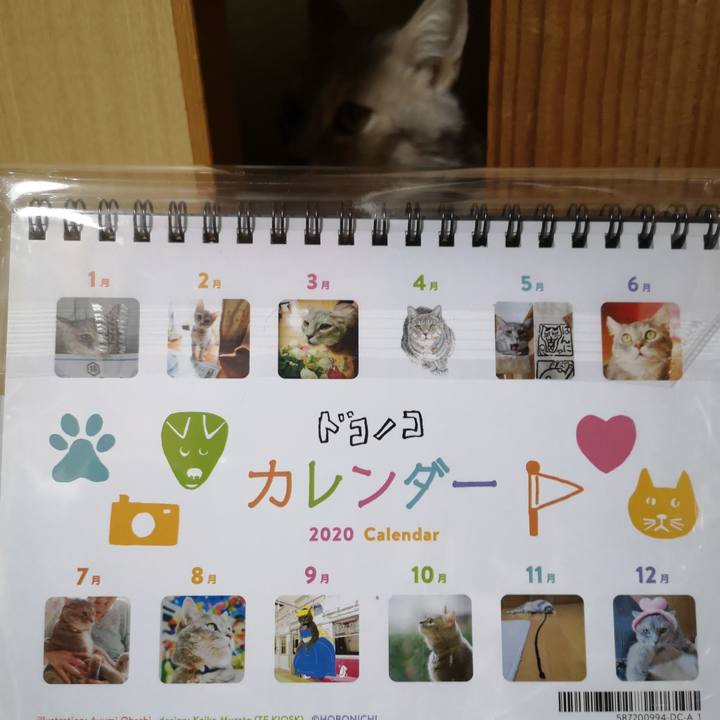 3babc336 00fb 4719 a500 518c140ffb1f 1575124704768