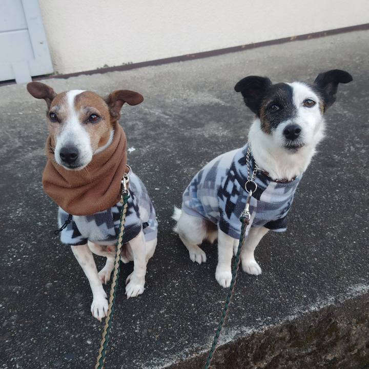 3babd163 69e3 47a8 adbf bd4cc143f1ed 1767997898753