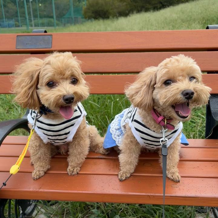 3babf4a3 8a3f 460c bc1e 0567beb2a446 1696170423159