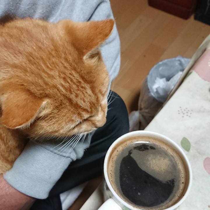 3bac2307 2a70 4c6c ba4e 411d675ea416 1604432940905