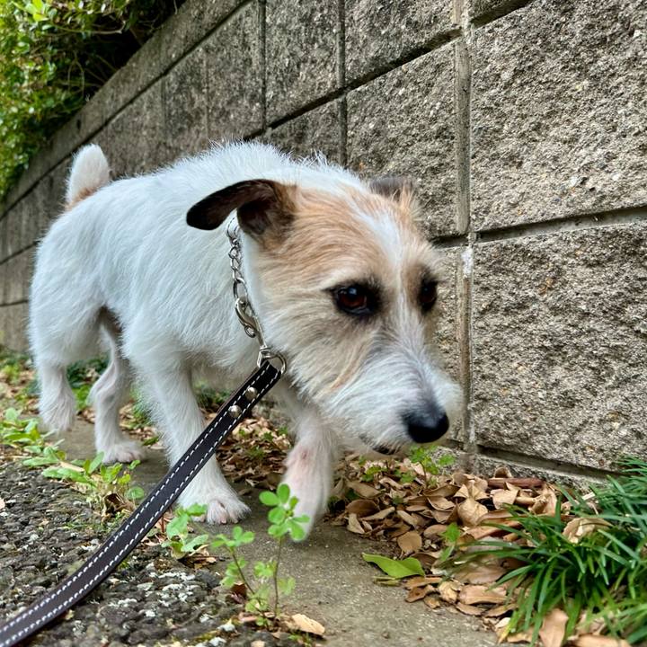 3bac2689 905d 41e0 87cb 2661650f7edd 1748115273944