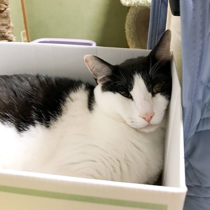 3bac4003 8791 42b2 9033 cd592d248c0a 1530110639987