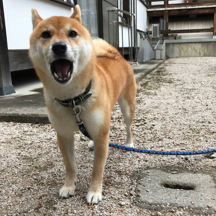 3bac46d3 24d6 4cea 92ed be9cf45deeff 1534123468786