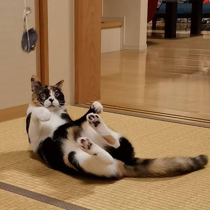 3bac6645 152d 41e6 8aa2 f2b41448b407 1606919666252