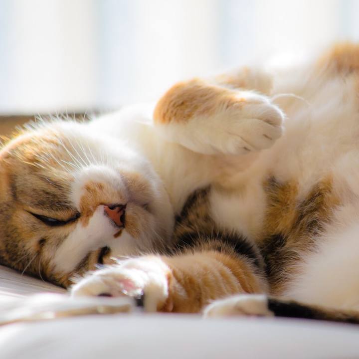 3bac7f7c da71 4626 b482 3a1983f258e8 1510670034566