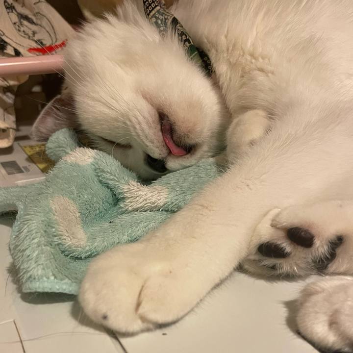 3bac80b5 ab74 465e 8924 16319b0f1a12 1727998216559