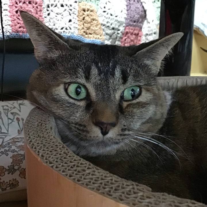 3bac8bc1 2d8b 432a a434 474917c9781e 1721980102544