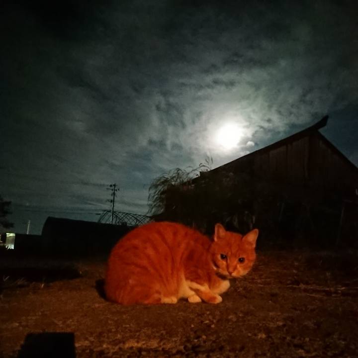 3bacde46 71dc 4e52 b406 90ae6a83de43 1601460392601