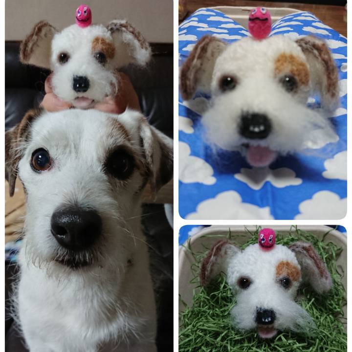 3bacdeba 38c0 4eb0 a38d f911390d1371 1541244480497