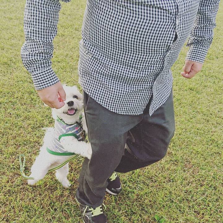 3bacf79d ba17 4ff9 8917 bed278596f9b 1602501041410