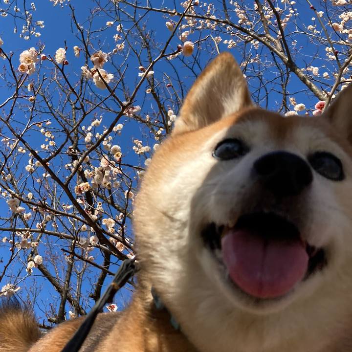 3bacfaeb cdf4 4f1d 8fe5 f0eab9bb67bd 1707892534759