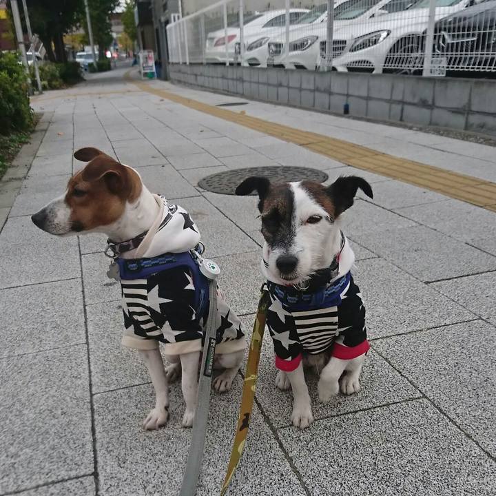 3bad2352 e6e8 4e1a bfb8 bf699fe2a517 1541283641486